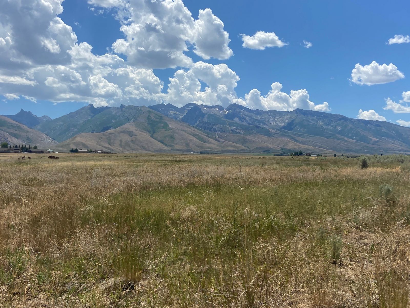 80.21 Acres Parcel A Property Photo 13