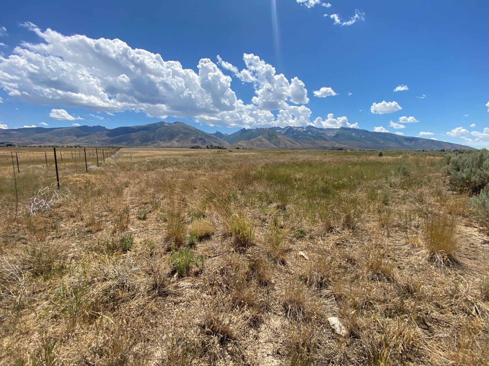 80.21 Acres Parcel A Property Photo 14