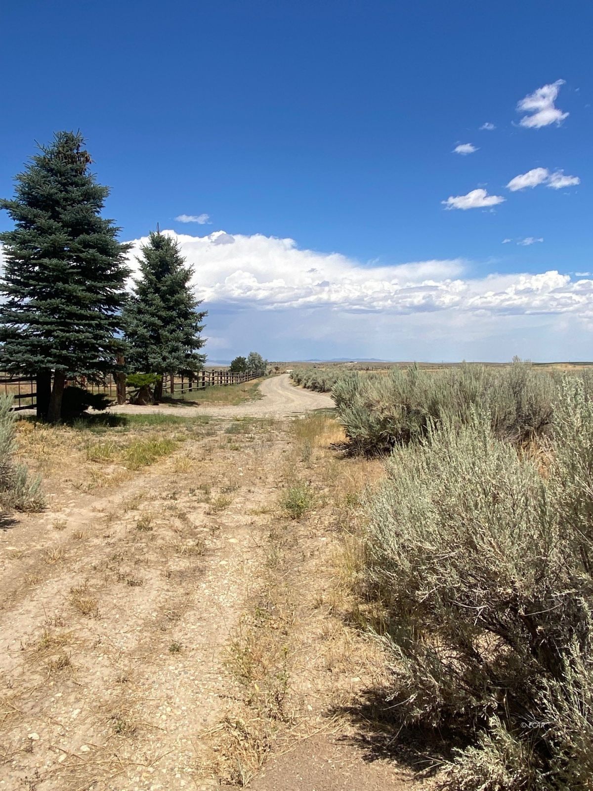 80.21 Acres Parcel A Property Photo 16