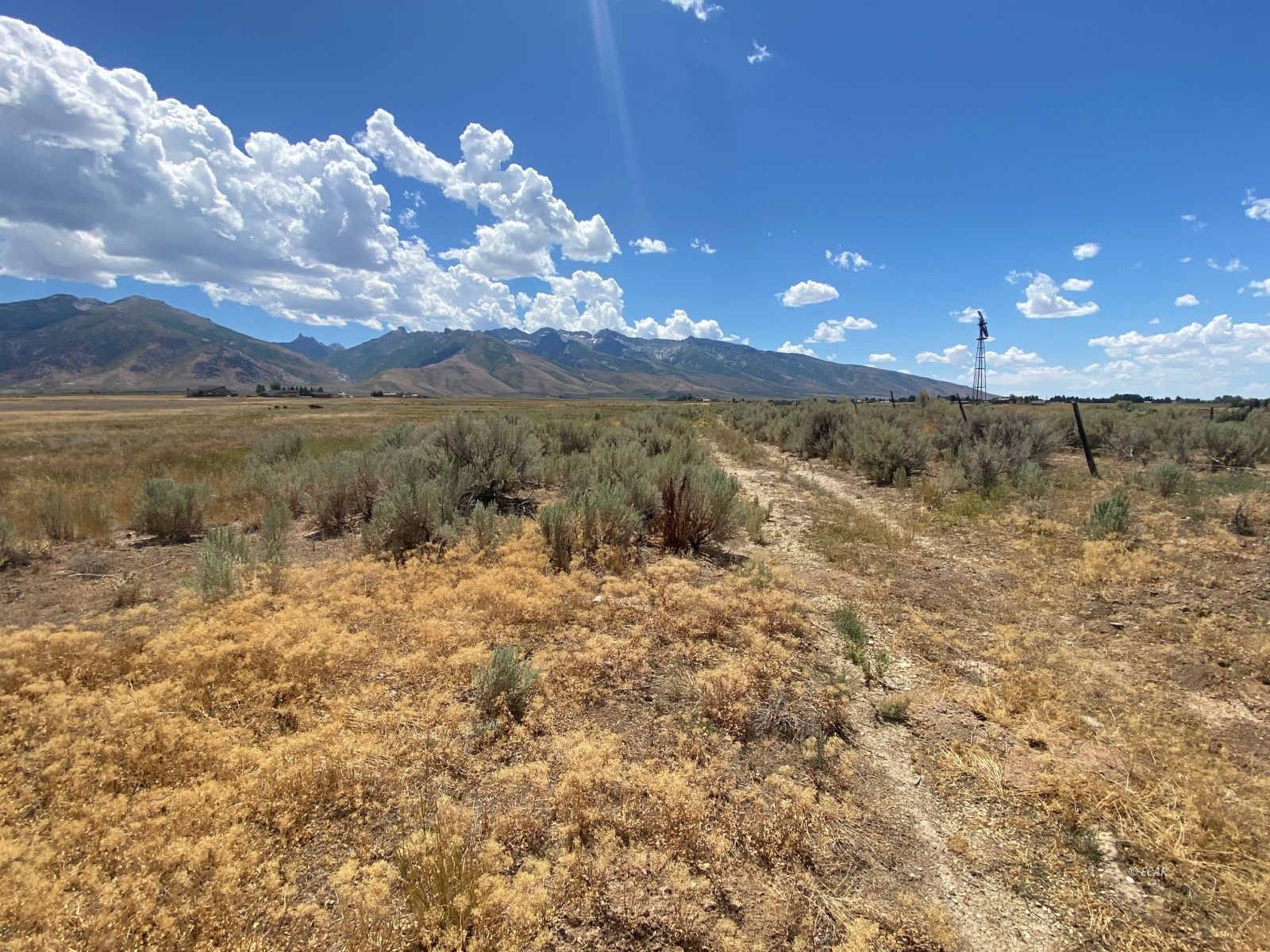 80.21 Acres Parcel A Property Photo 17