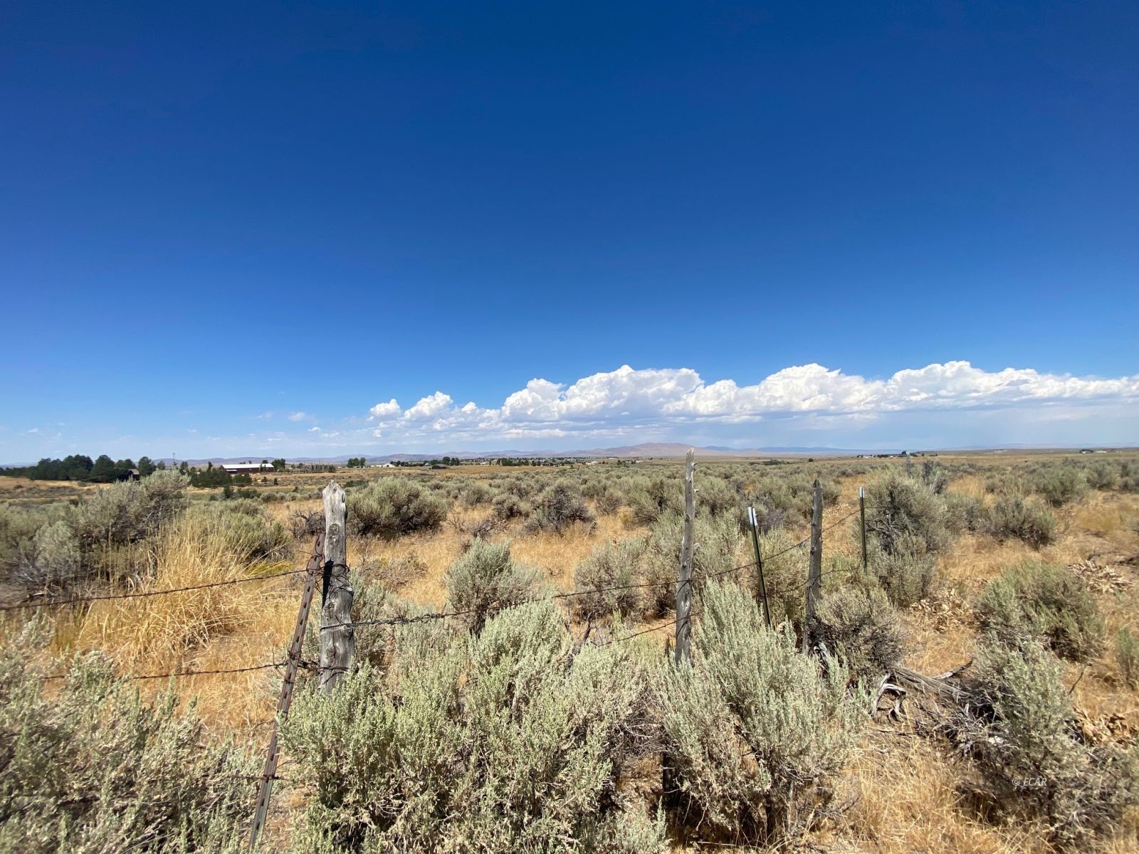 80.21 Acres Parcel A Property Photo 25