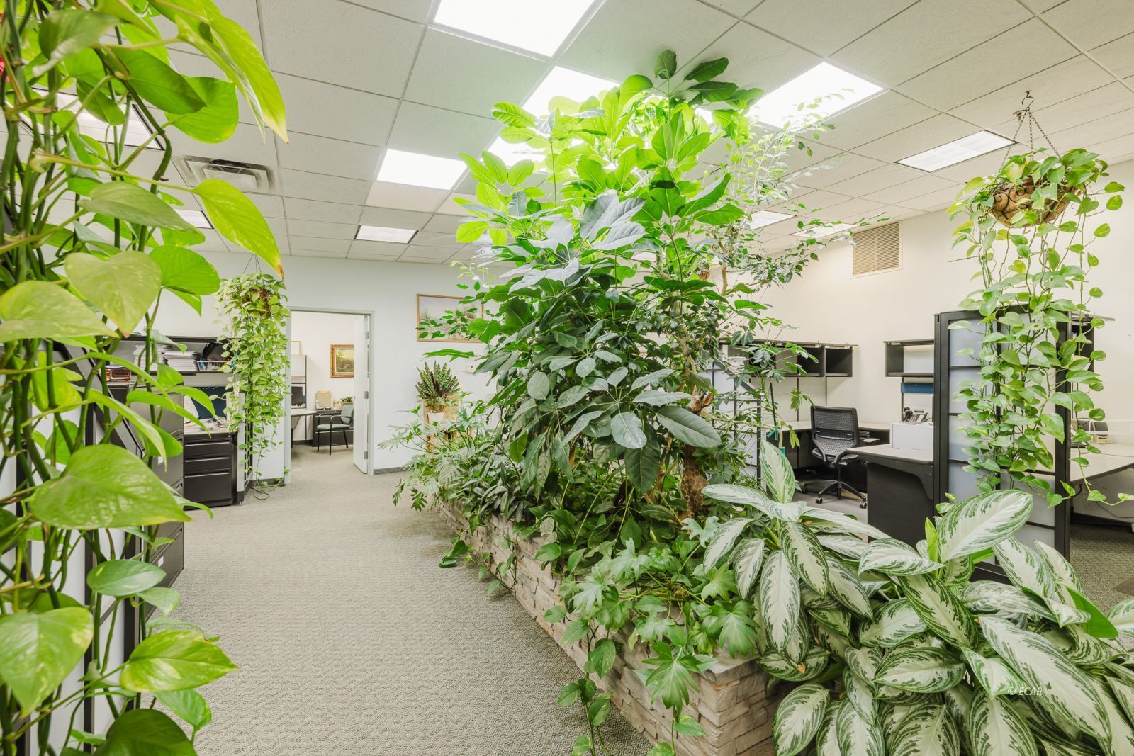 106 W Front Street Property Photo 44