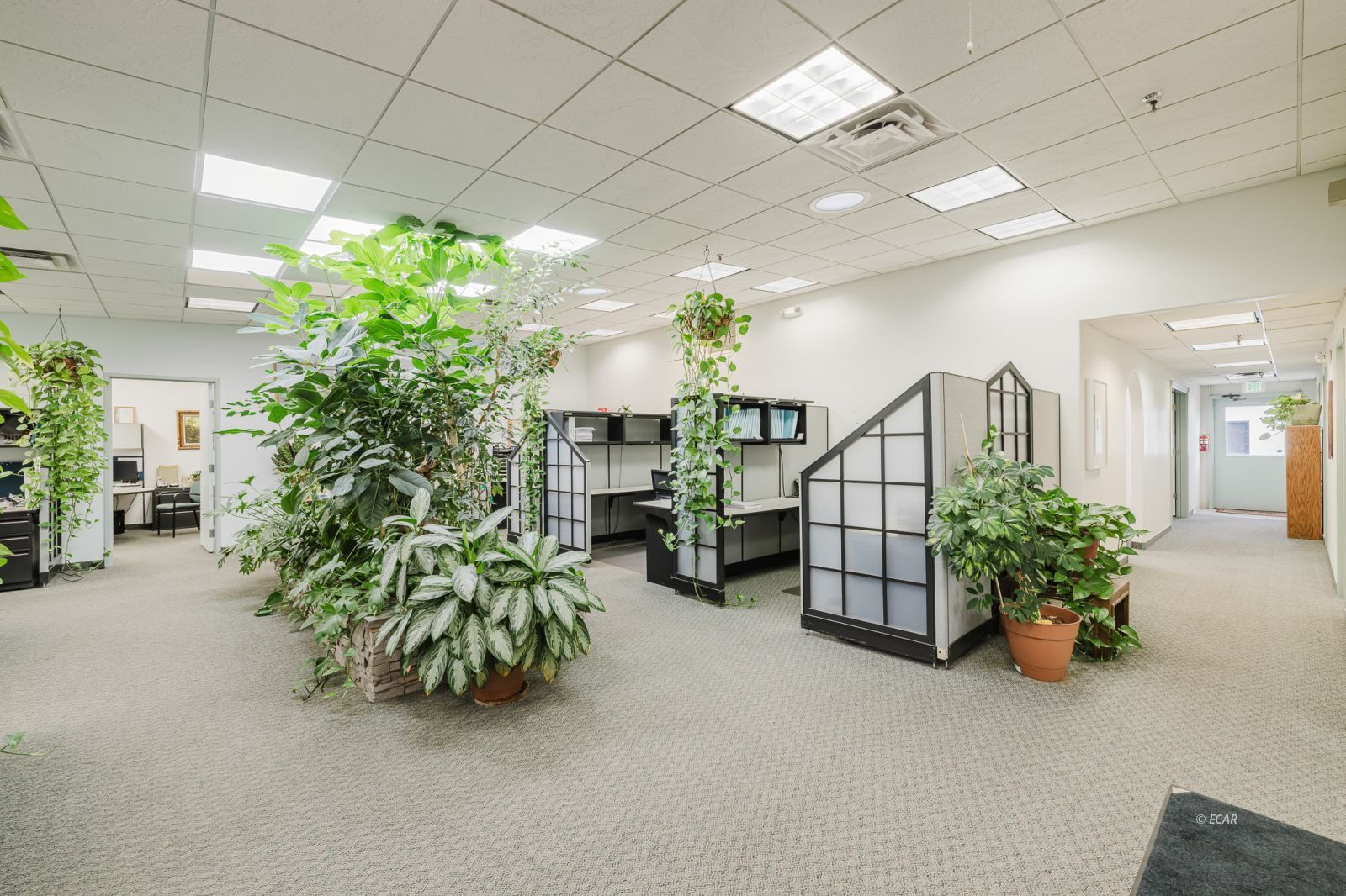 106 W Front Street Property Photo 45