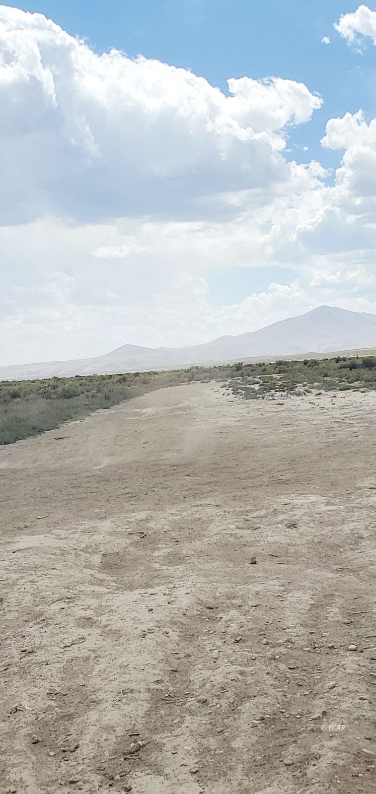 9559 7th Street Property Photo 5