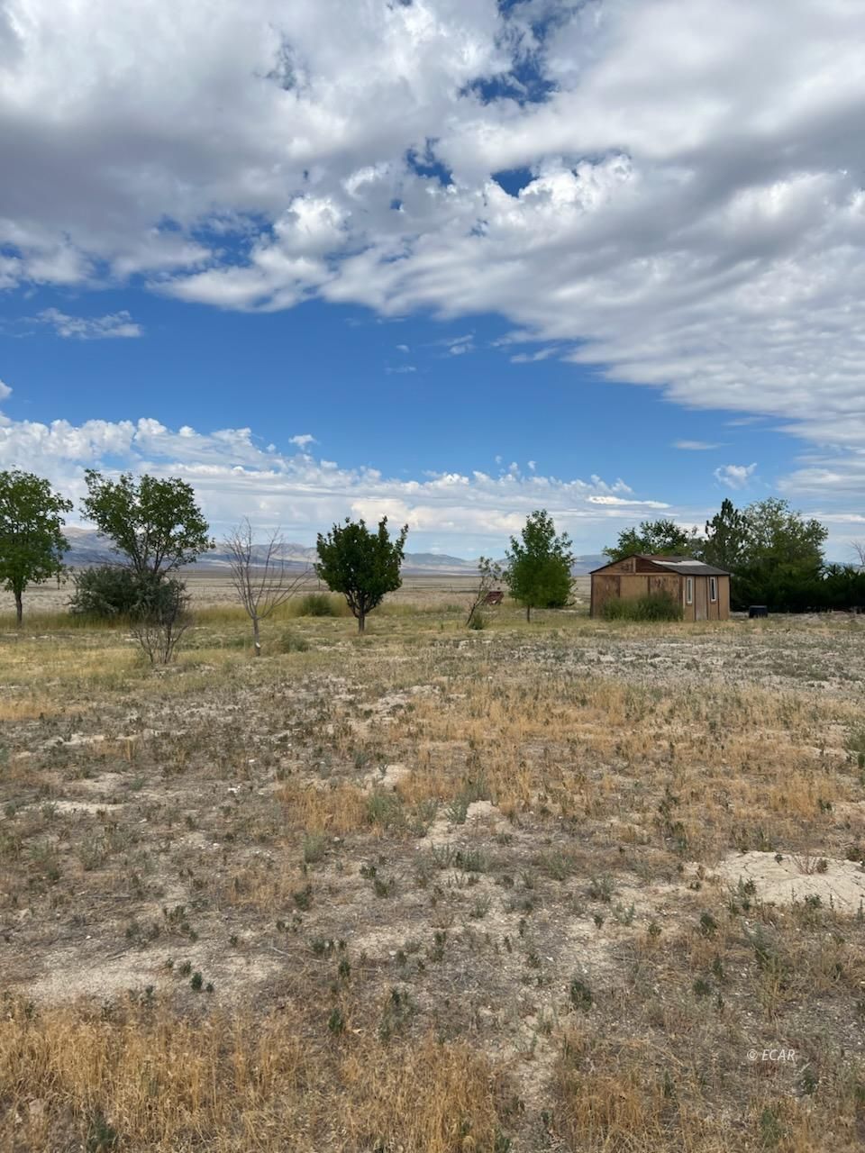 000 Pilot Road Property Photo 21