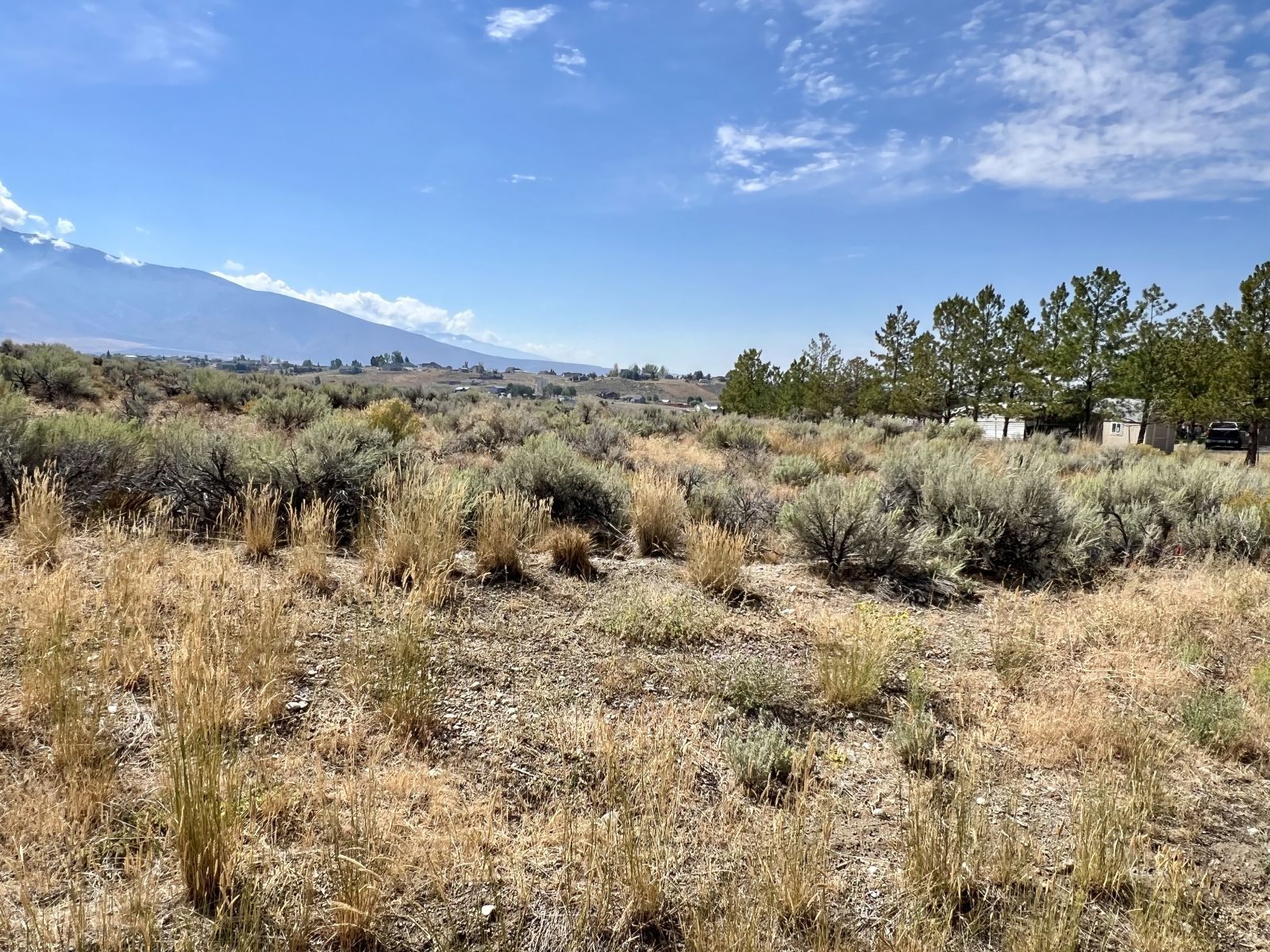 472 Foxridge Drive Property Photo 4