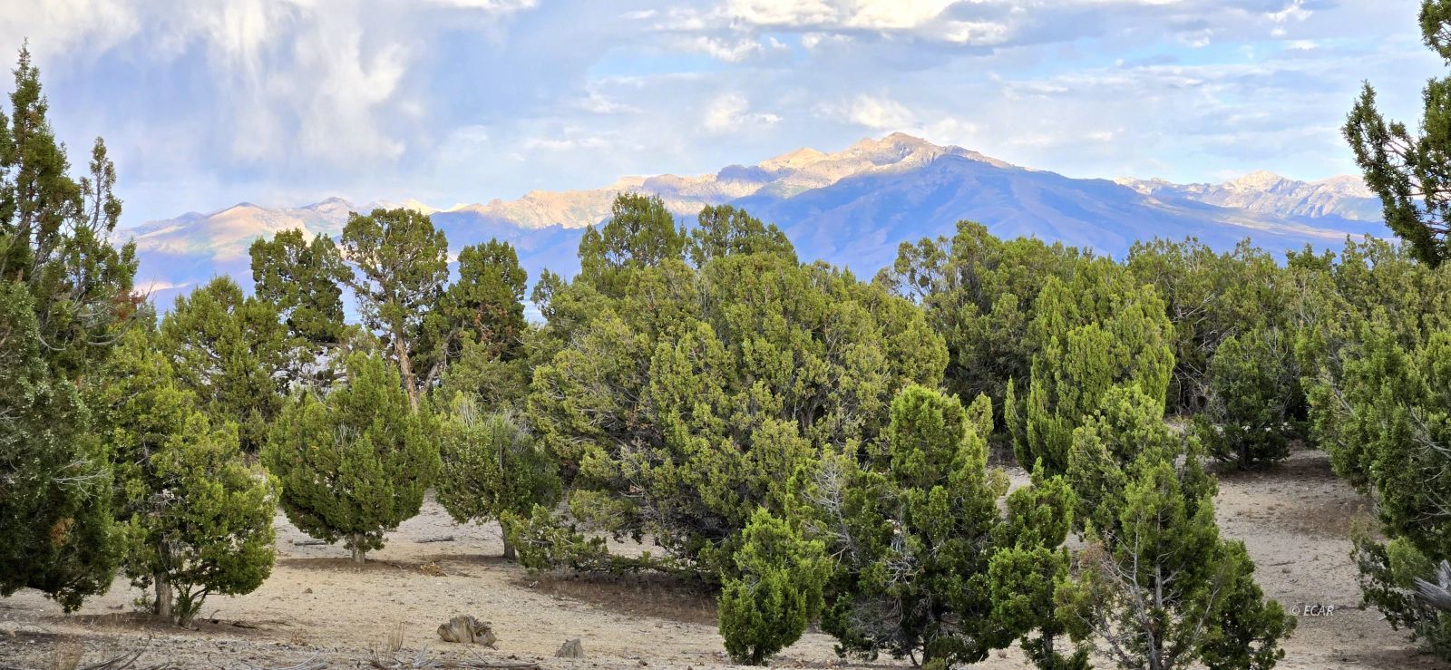 816 Hamilton Stage Road Property Photo 1