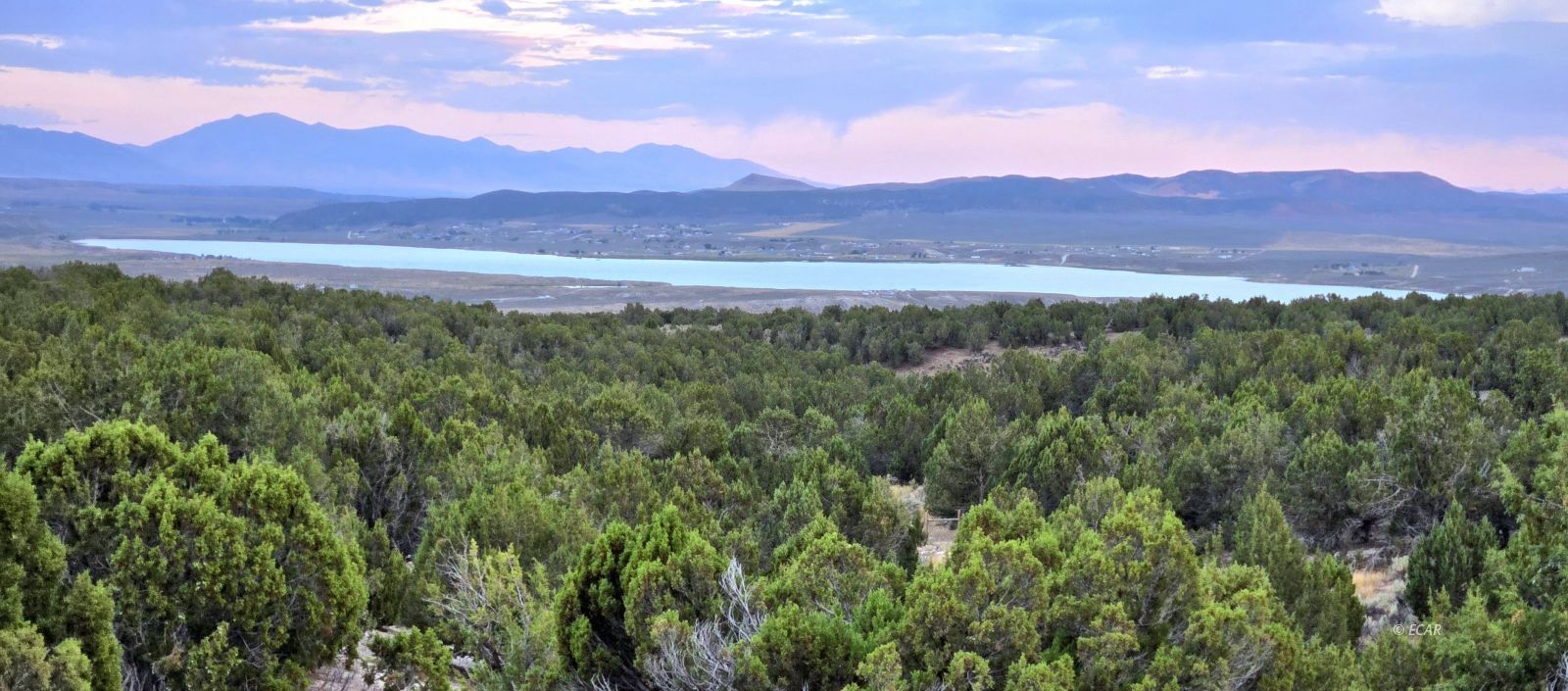 816 Hamilton Stage Road Property Photo 2