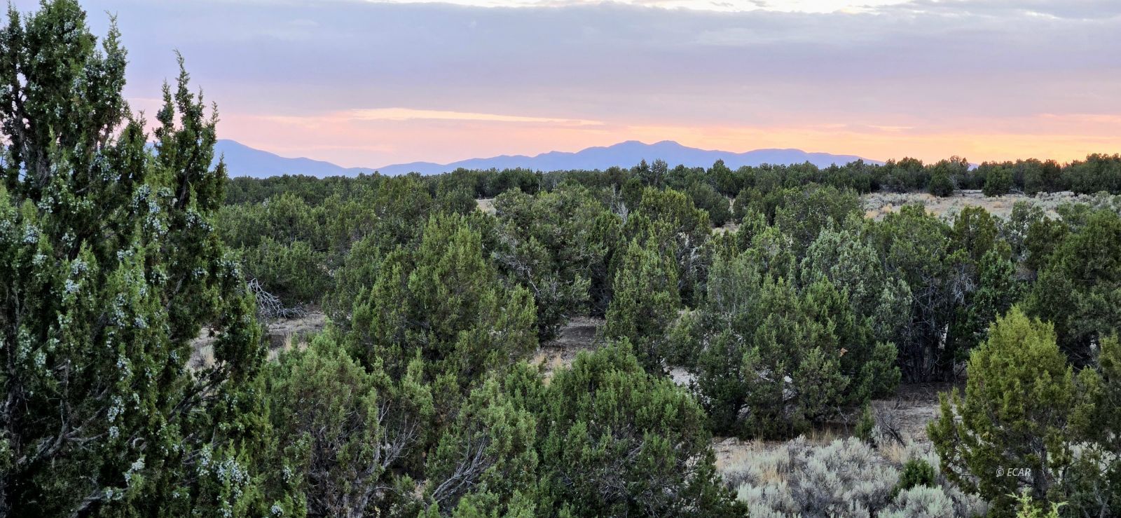 816 Hamilton Stage Road Property Photo 3