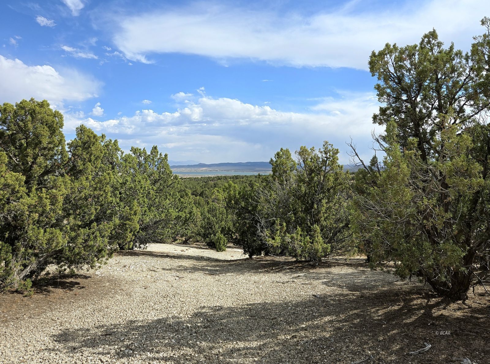 816 Hamilton Stage Road Property Photo 4