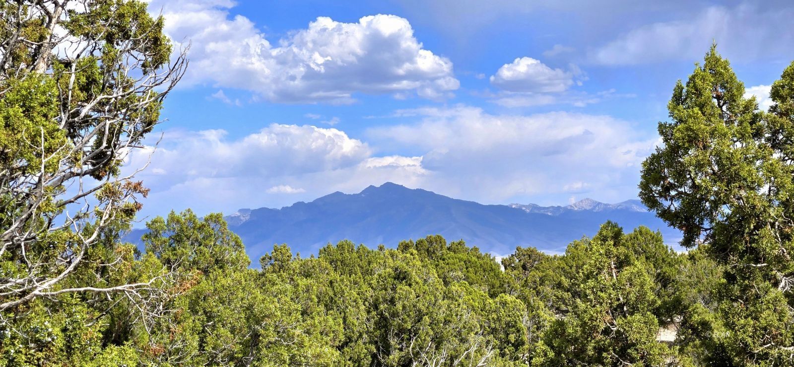 816 Hamilton Stage Road Property Photo 5