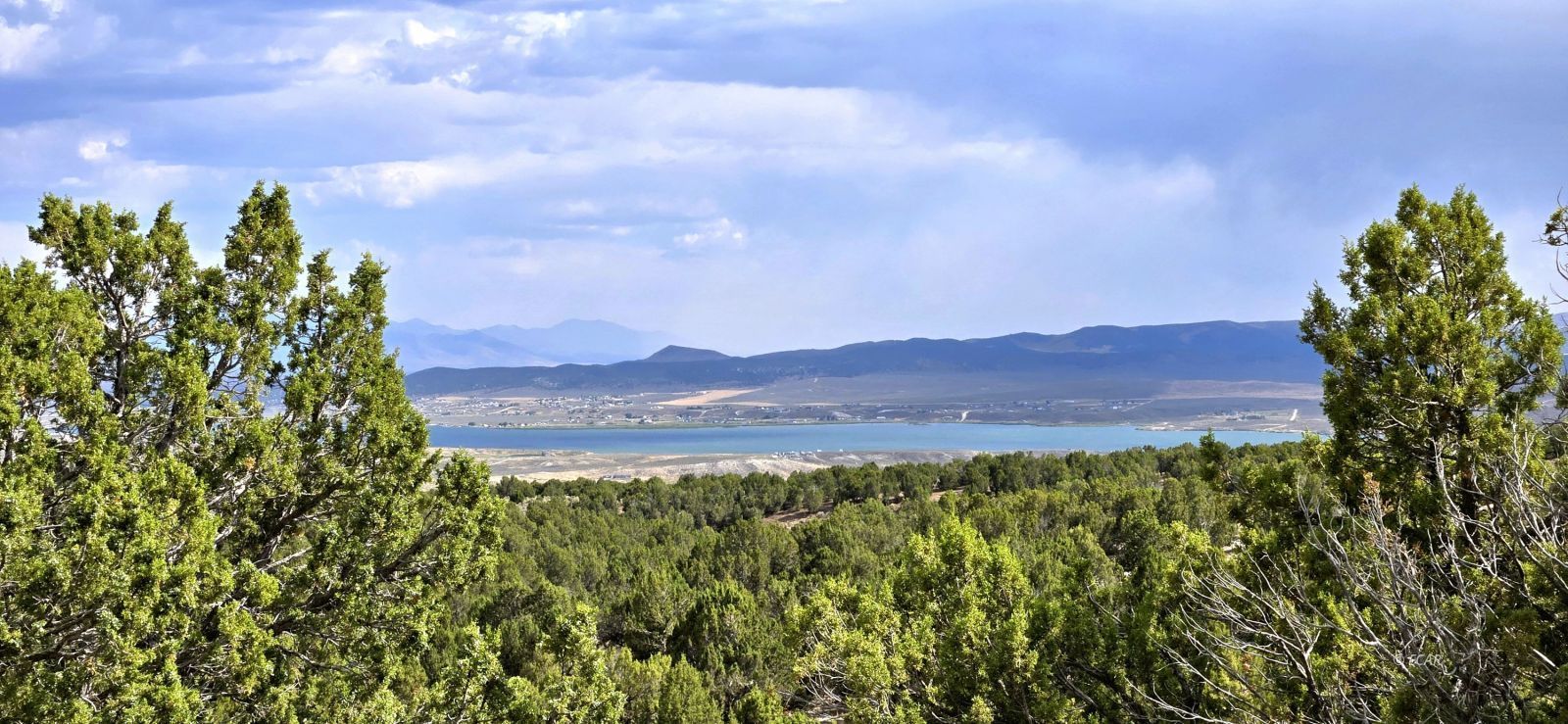 816 Hamilton Stage Road Property Photo 6