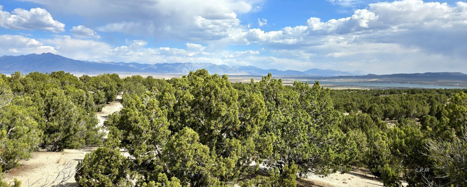 816 Hamilton Stage Road Property Photo 7