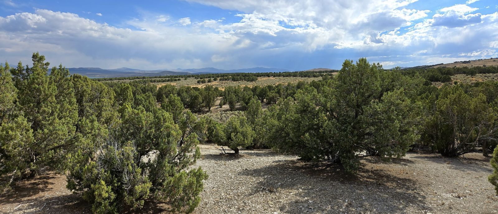 816 Hamilton Stage Road Property Photo 8