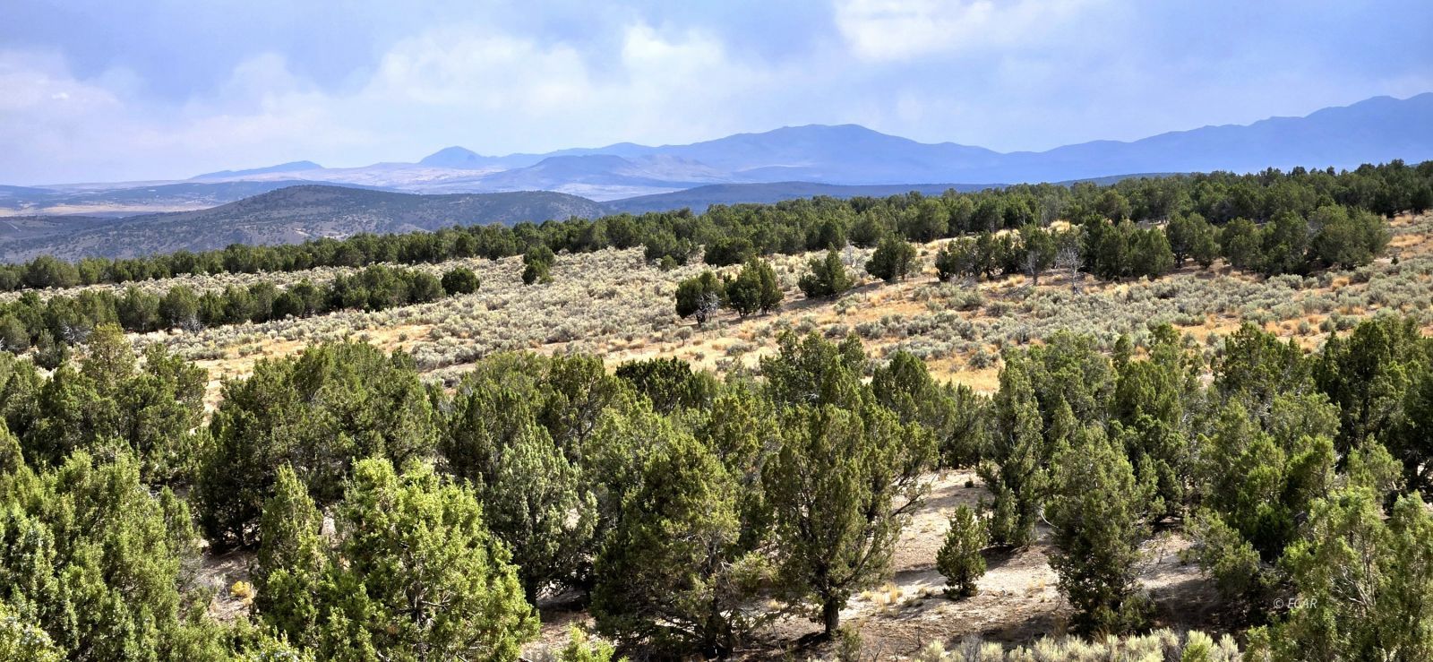 816 Hamilton Stage Road Property Photo 9