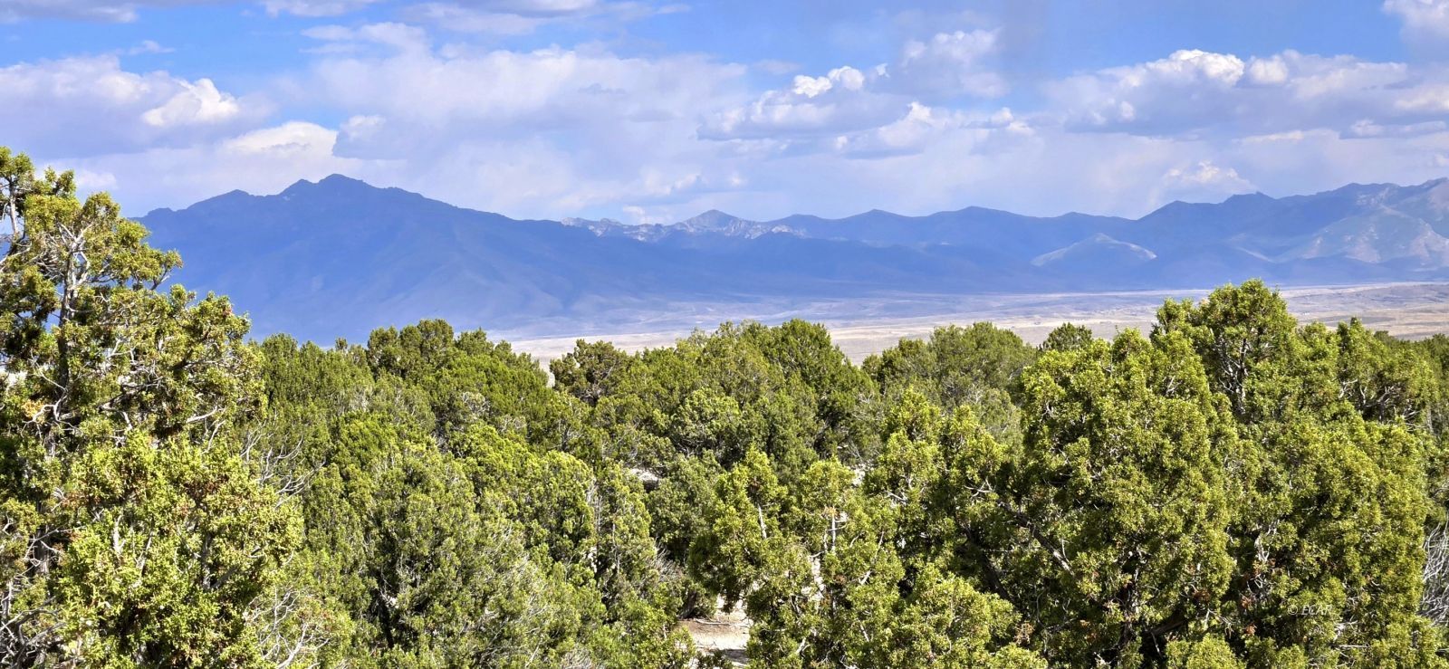 816 Hamilton Stage Road Property Photo 10