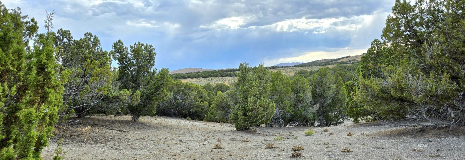 816 Hamilton Stage Road Property Photo 11