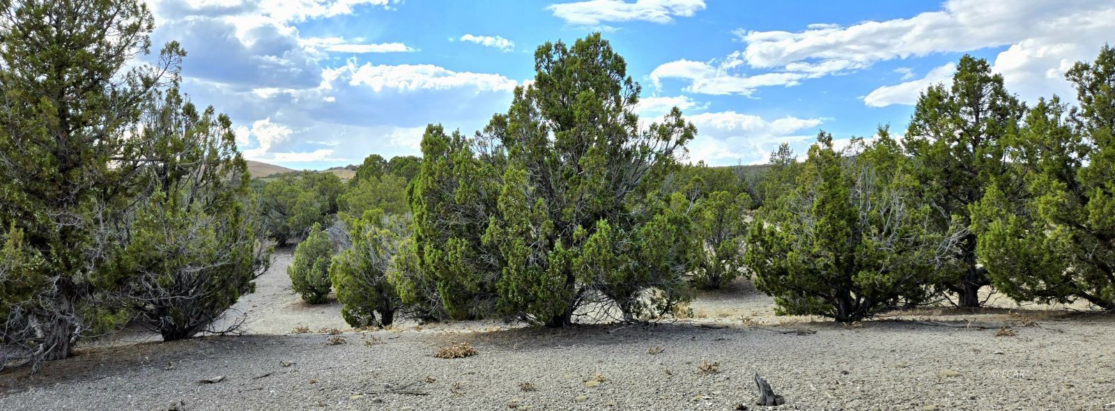 816 Hamilton Stage Road Property Photo 12