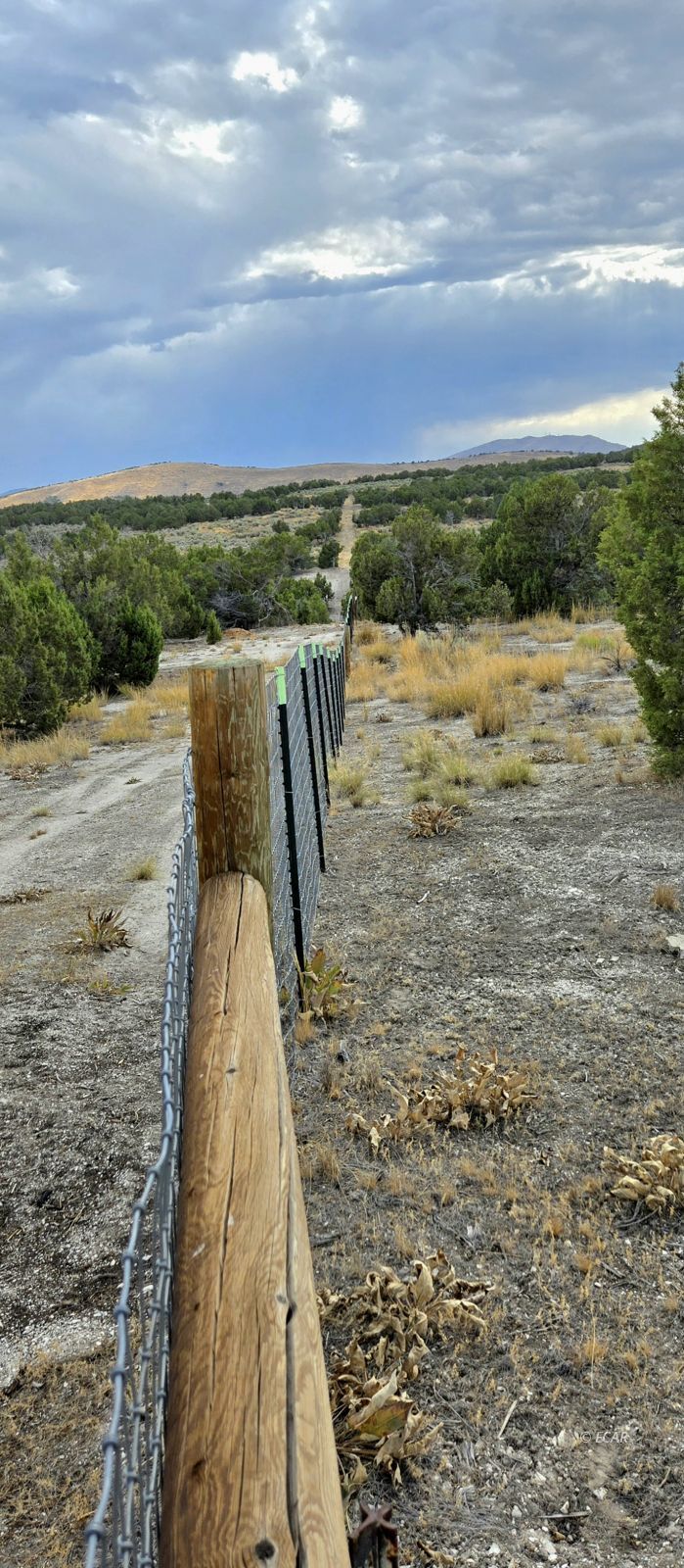 816 Hamilton Stage Road Property Photo 13