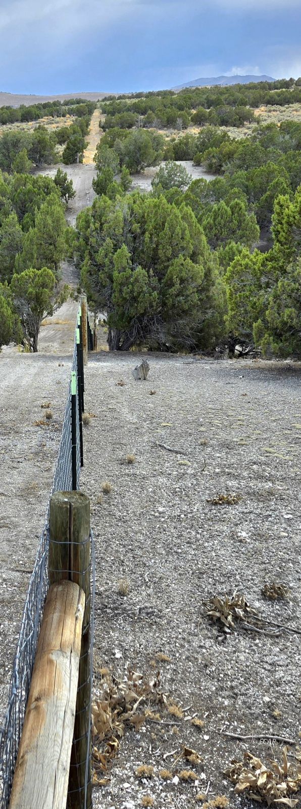 816 Hamilton Stage Road Property Photo 15