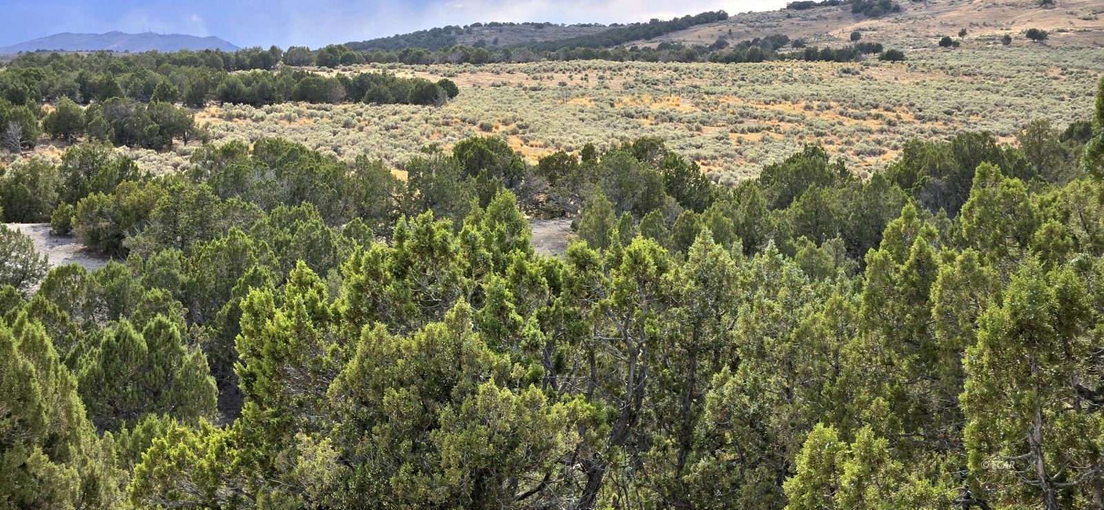 816 Hamilton Stage Road Property Photo 16