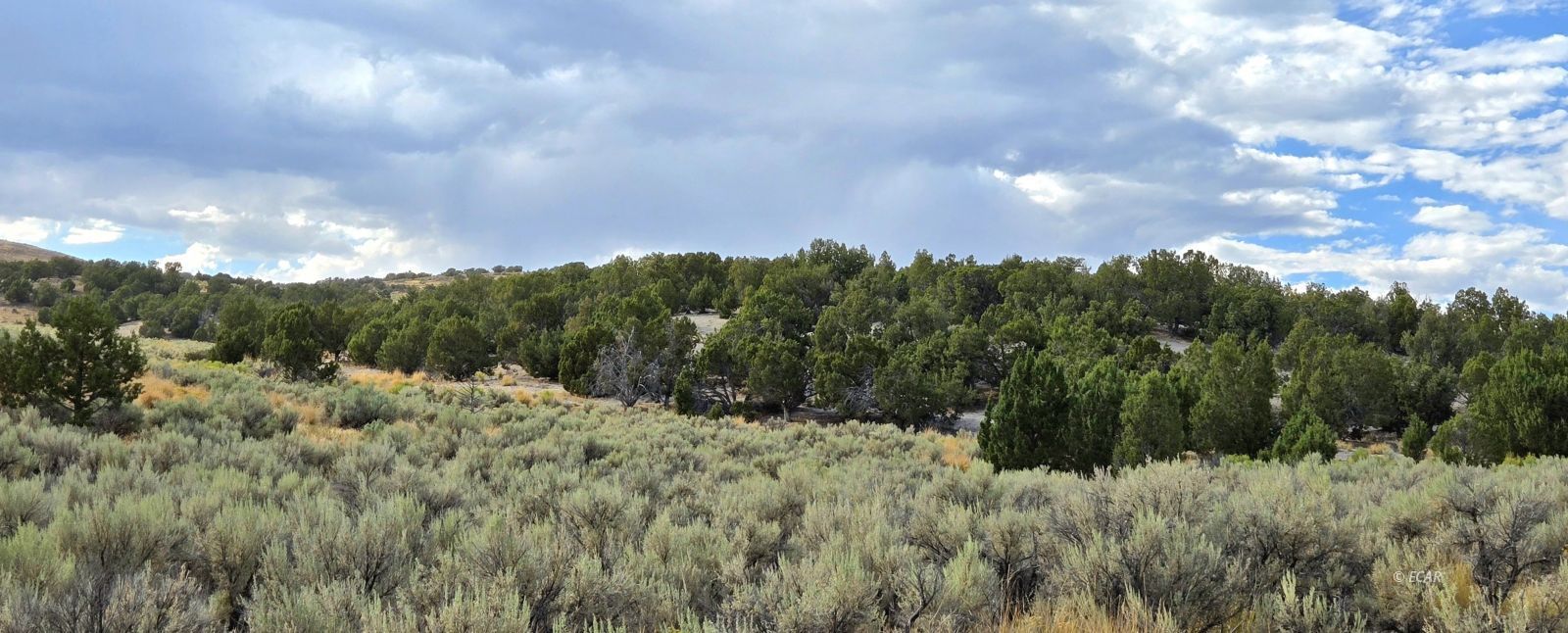 816 Hamilton Stage Road Property Photo 18