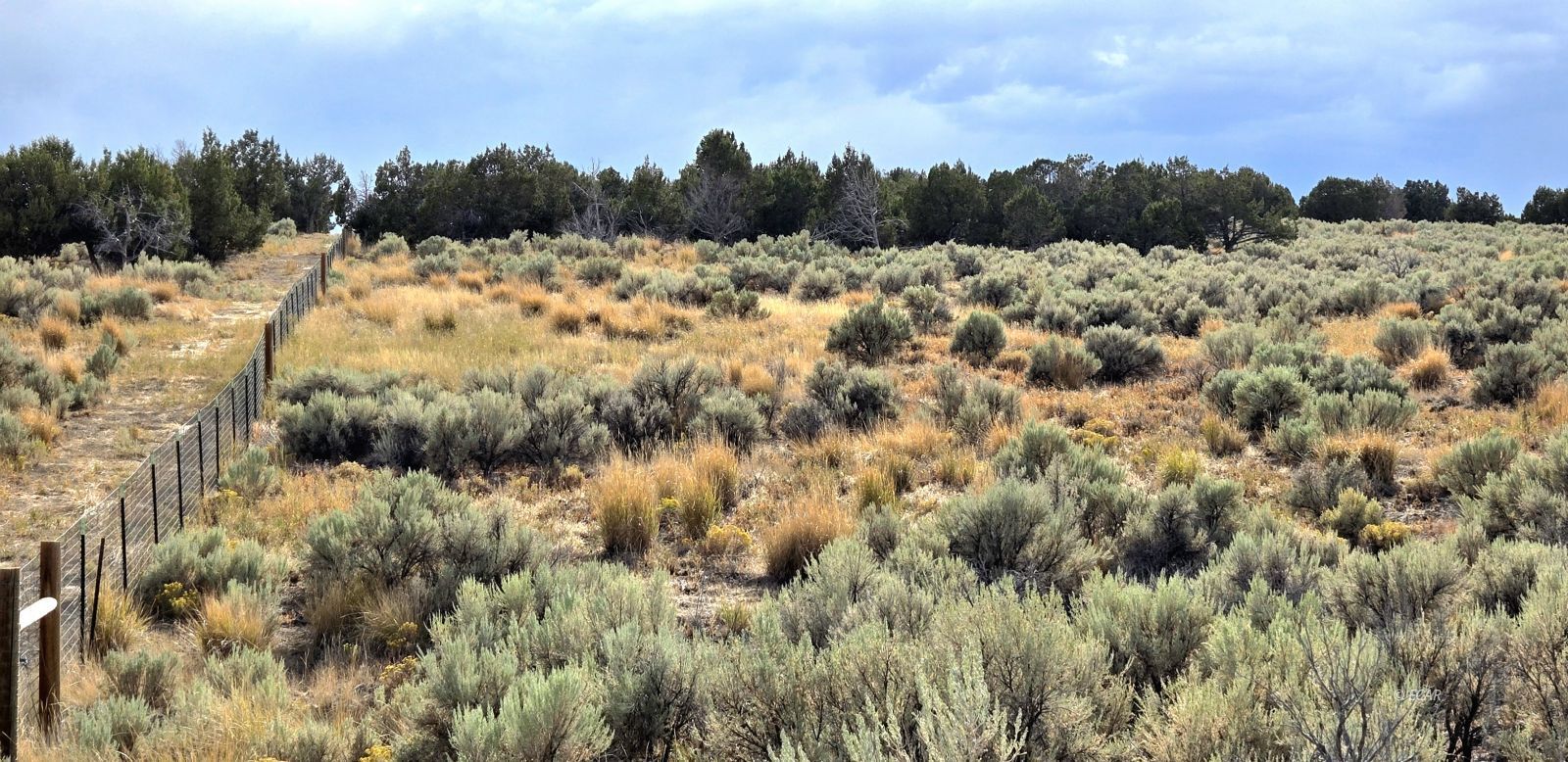 816 Hamilton Stage Road Property Photo 19