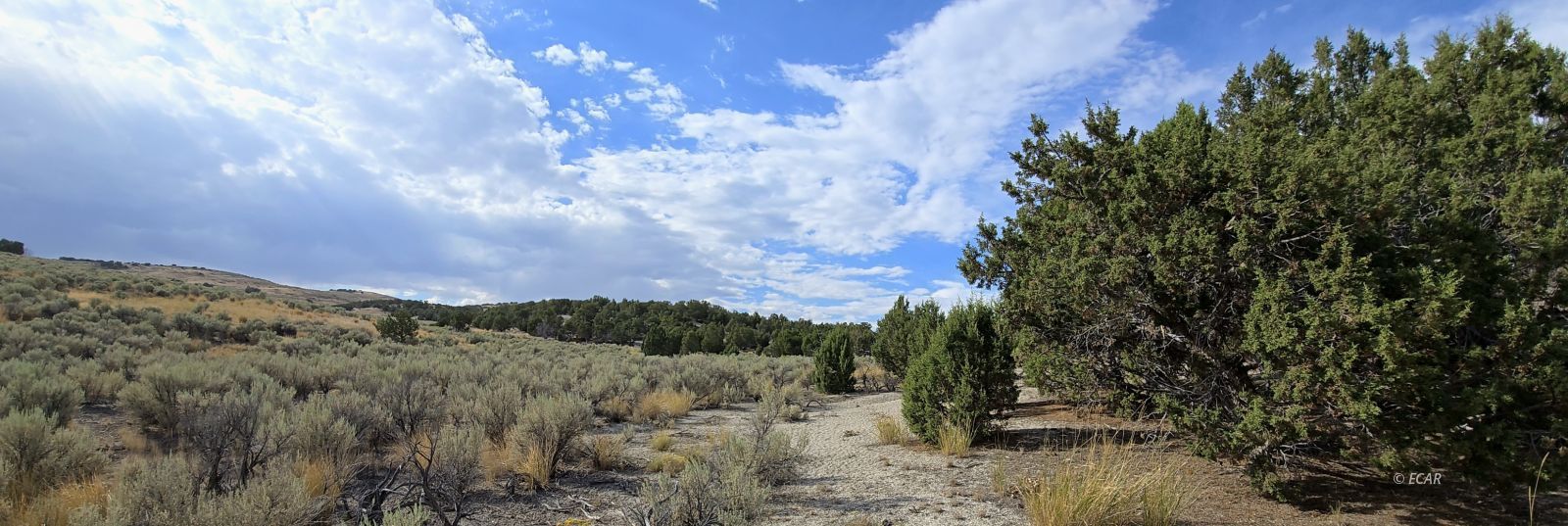 816 Hamilton Stage Road Property Photo 20