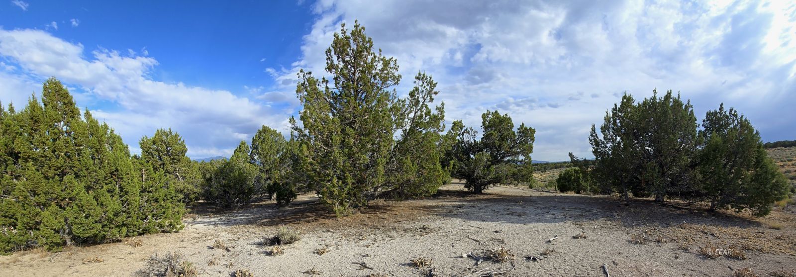 816 Hamilton Stage Road Property Photo 21