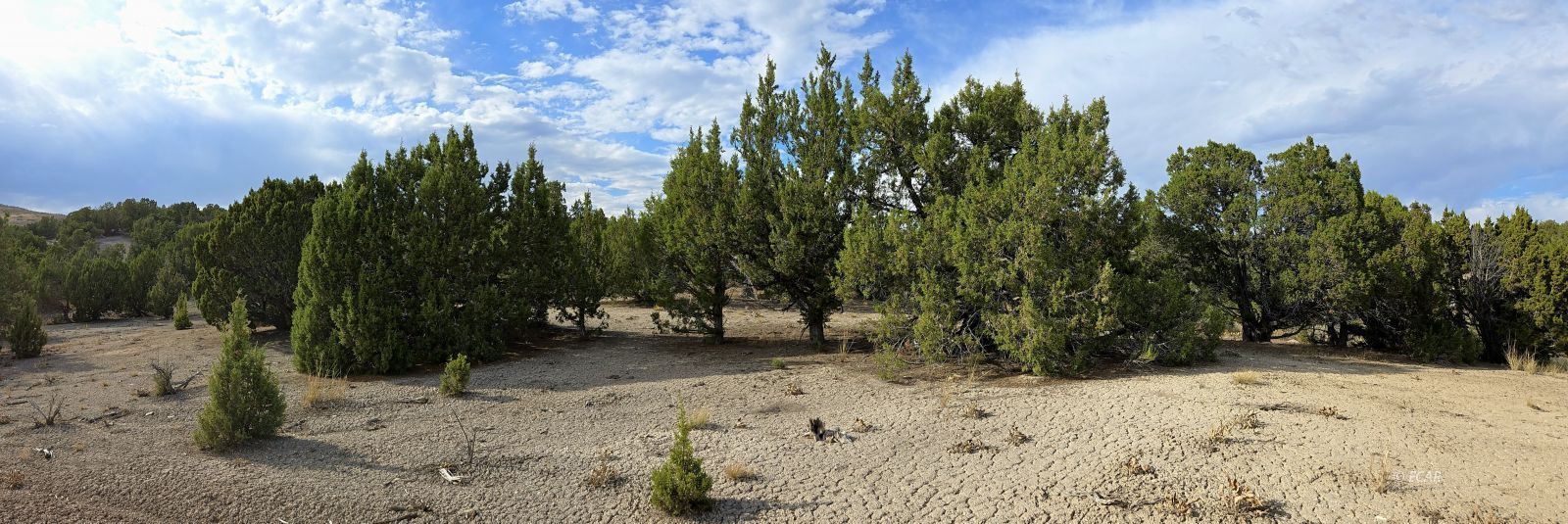 816 Hamilton Stage Road Property Photo 22