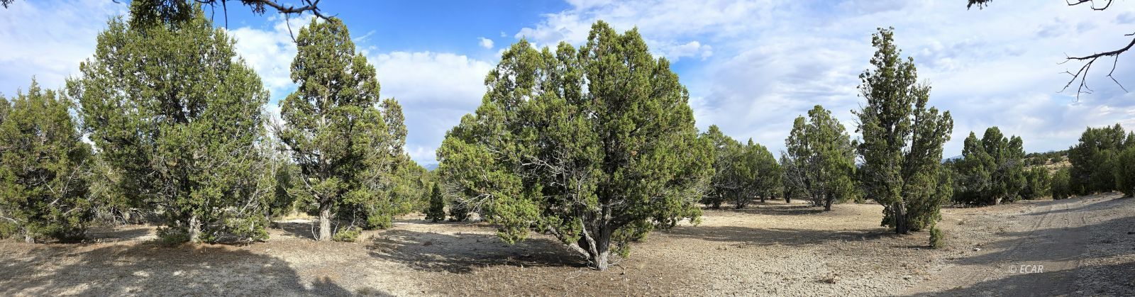 816 Hamilton Stage Road Property Photo 23