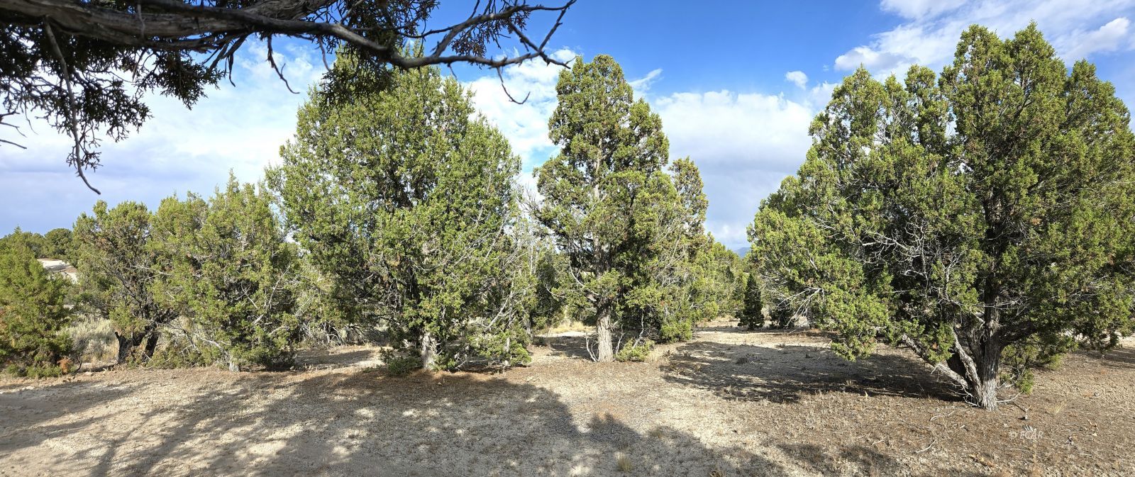 816 Hamilton Stage Road Property Photo 24