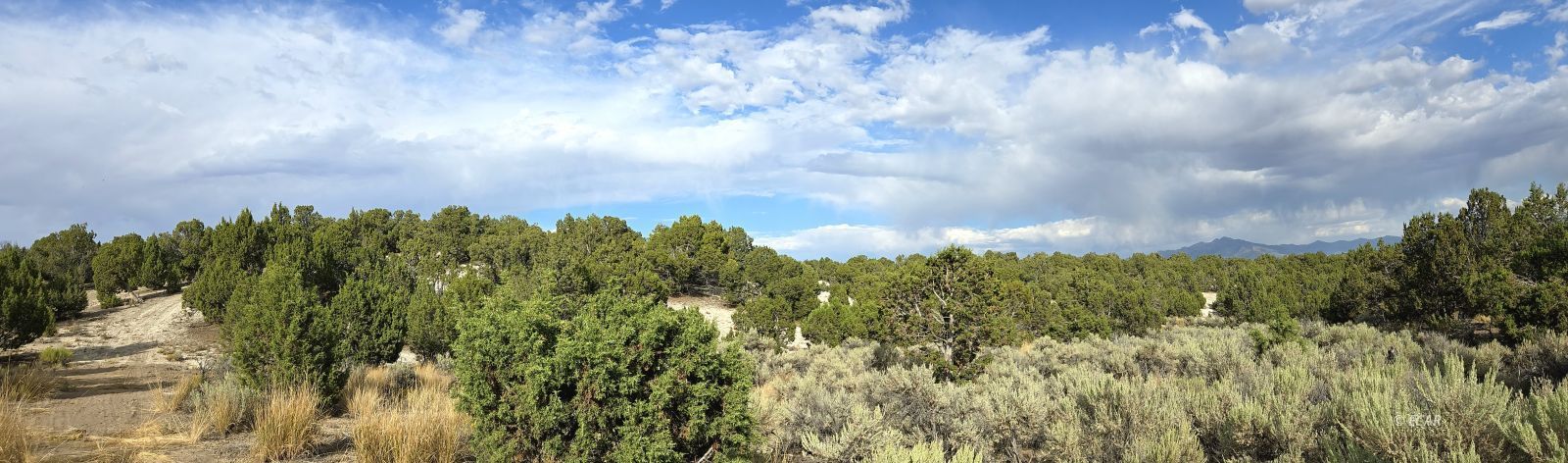 816 Hamilton Stage Road Property Photo 25