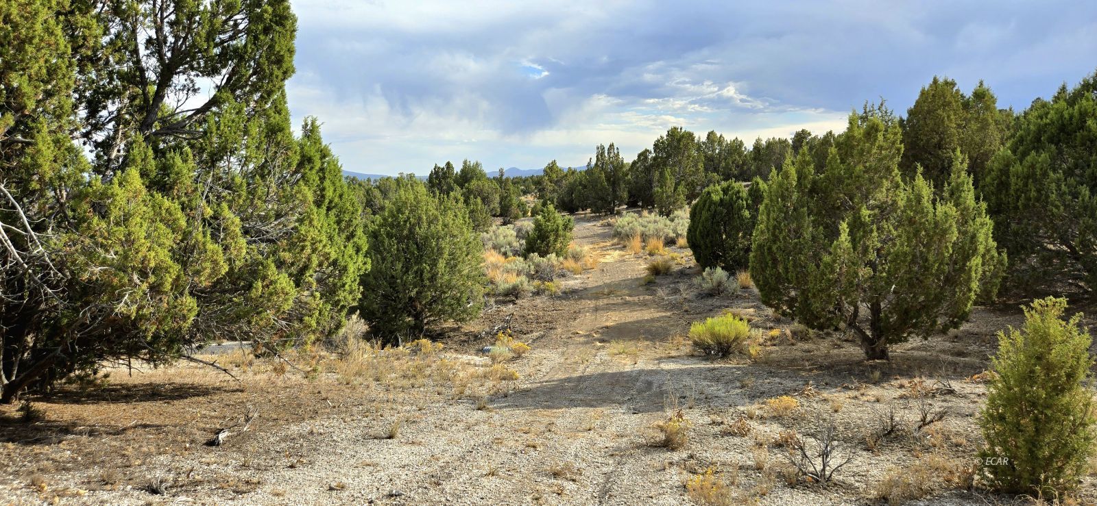 816 Hamilton Stage Road Property Photo 26