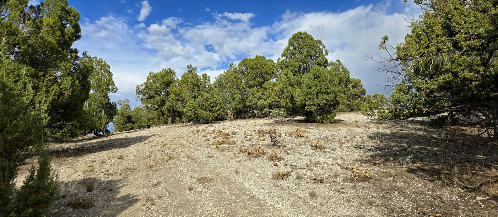 816 Hamilton Stage Road Property Photo 27