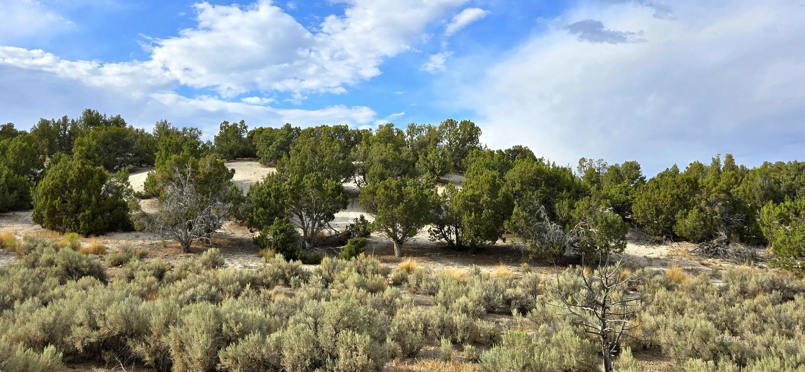 816 Hamilton Stage Road Property Photo 28