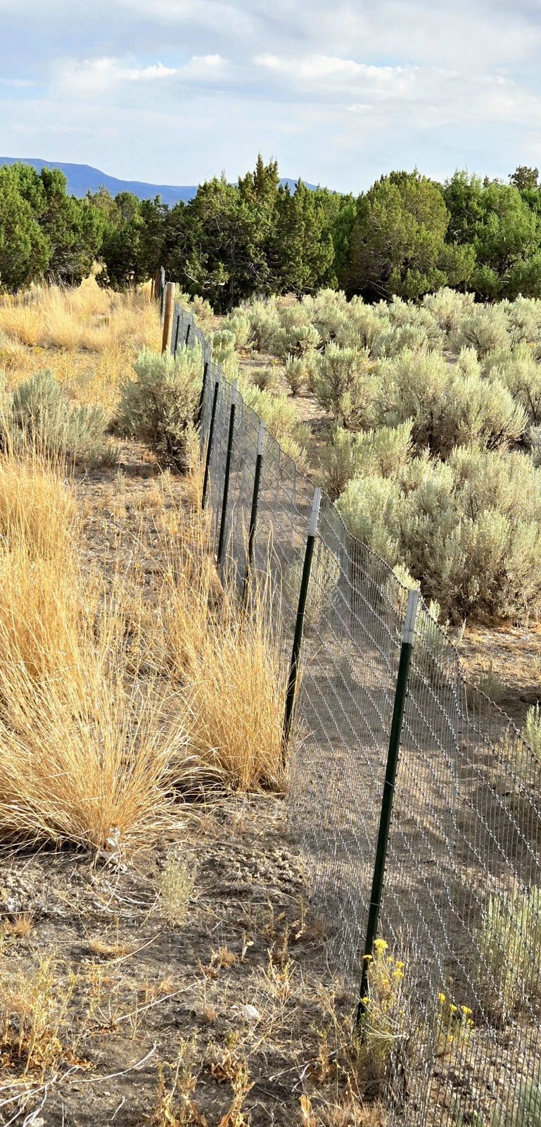 816 Hamilton Stage Road Property Photo 31