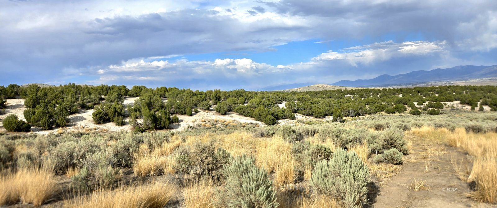 816 Hamilton Stage Road Property Photo 32