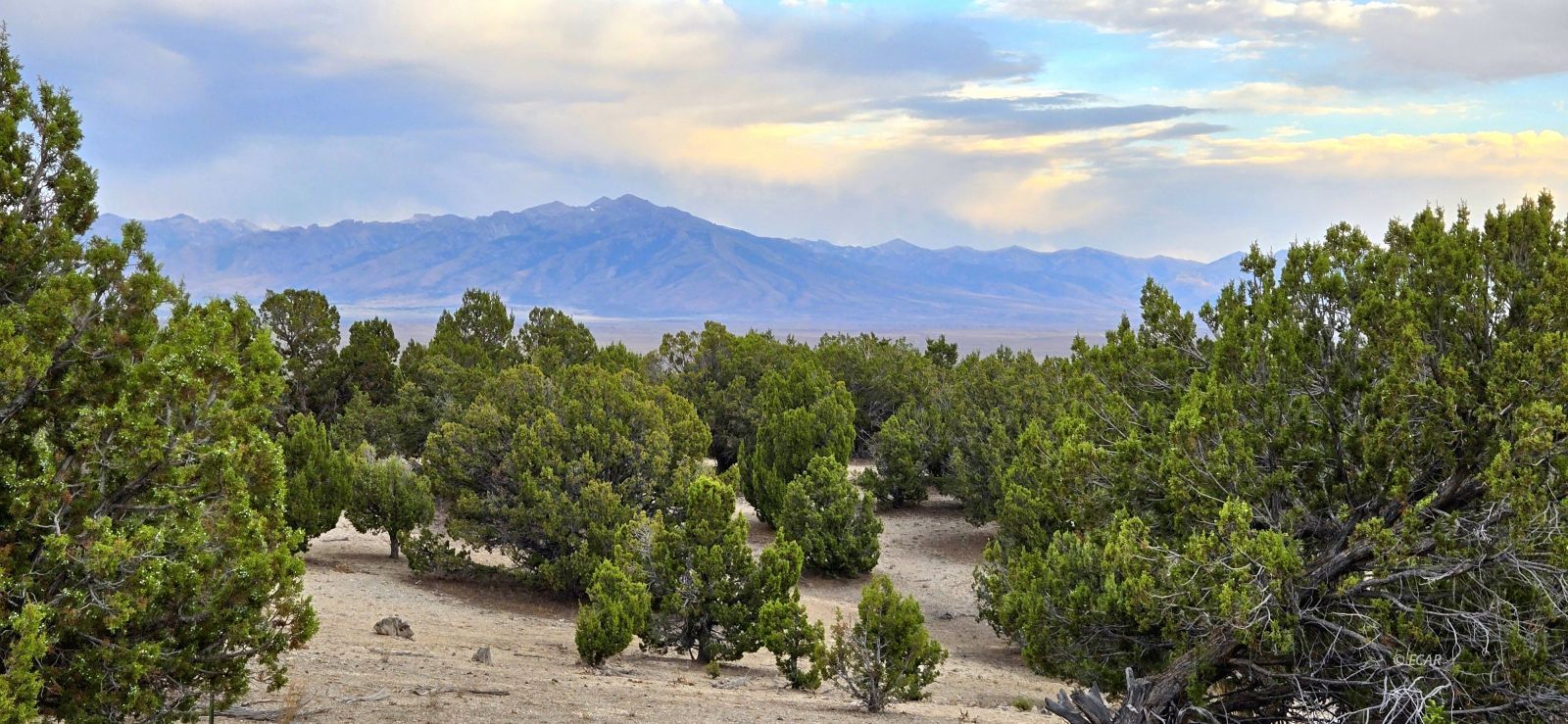 816 Hamilton Stage Road Property Photo 34