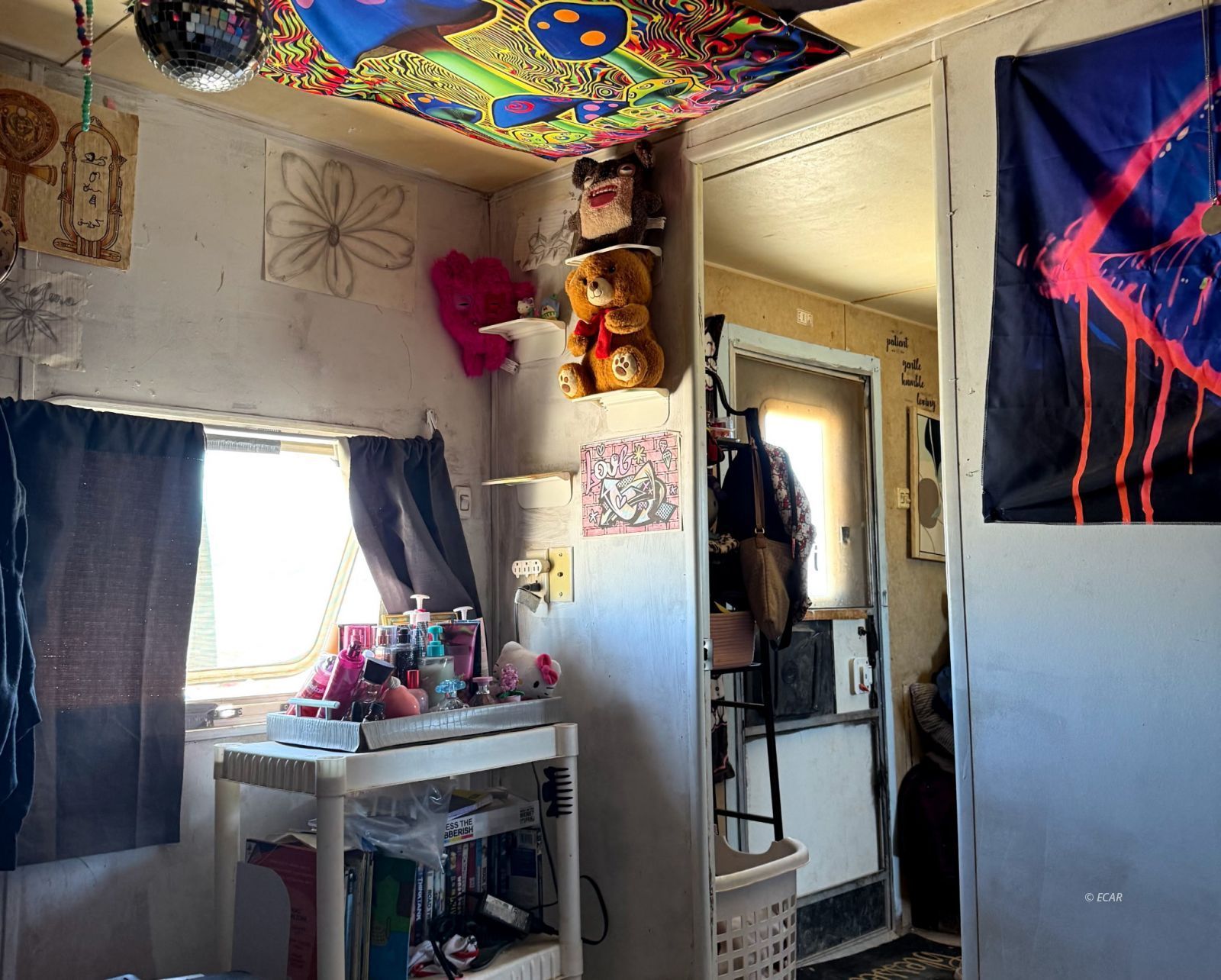 323 State Route 306 Nv Highway Property Photo 20