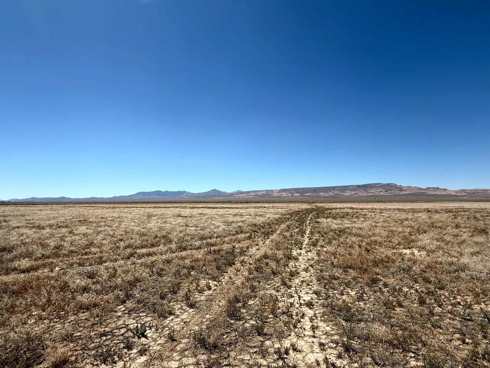 323 State Route 306 Nv Highway Property Photo 22