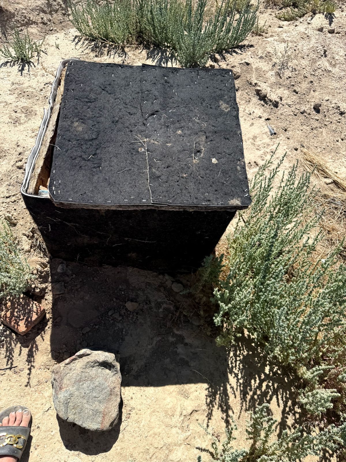 323 State Route 306 Nv Highway Property Photo 31