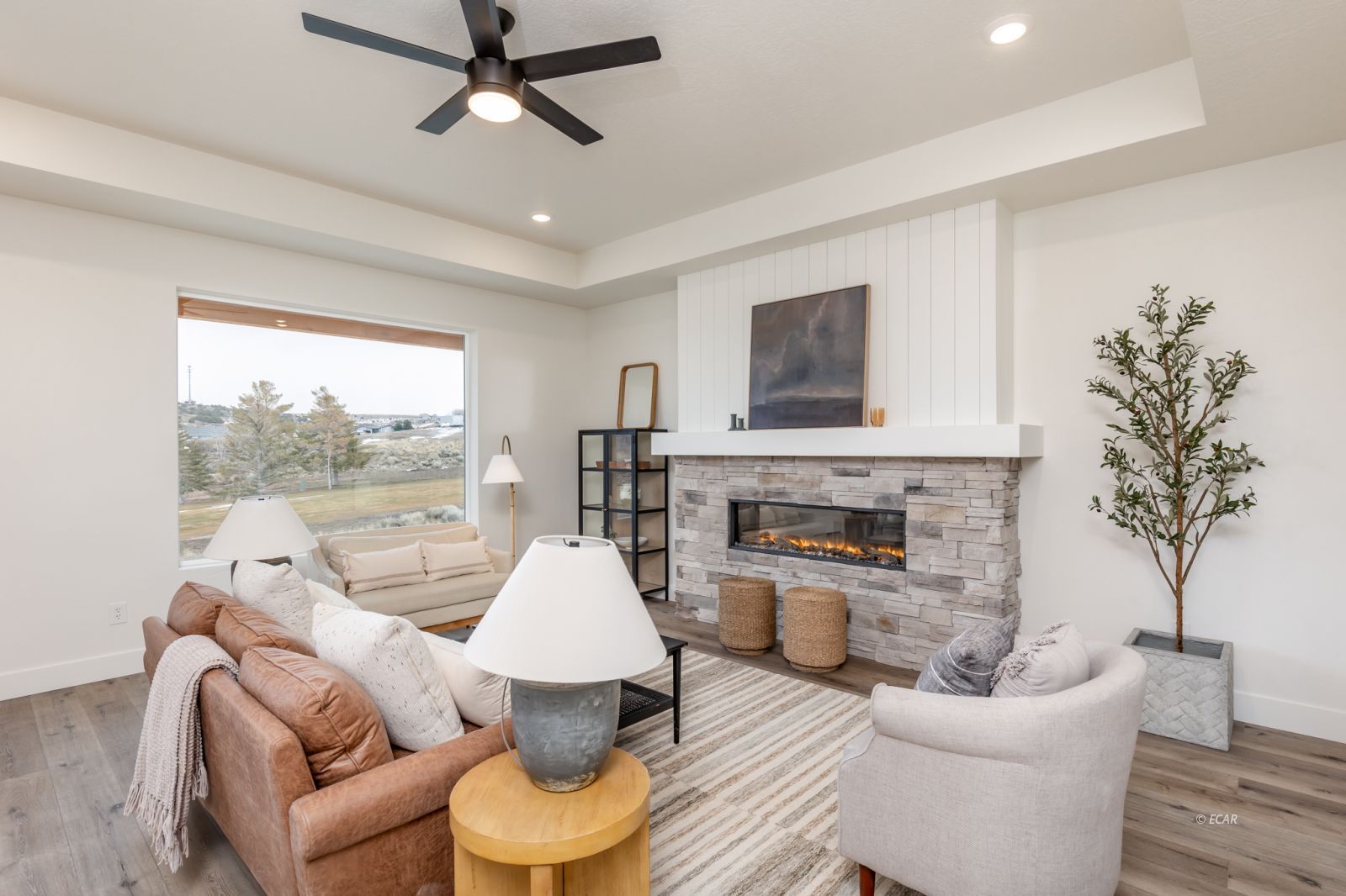 2910 Aria Way Property Photo 6