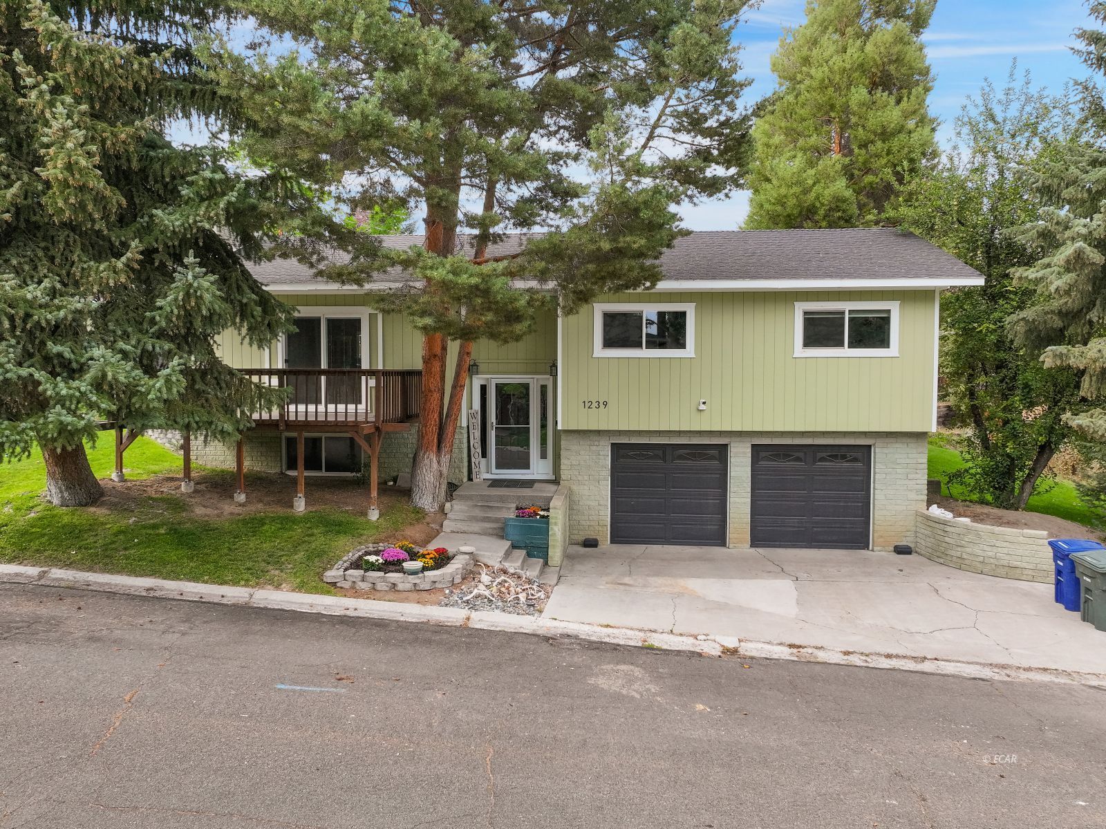 1239 Mountain View Drive Property Photo 1