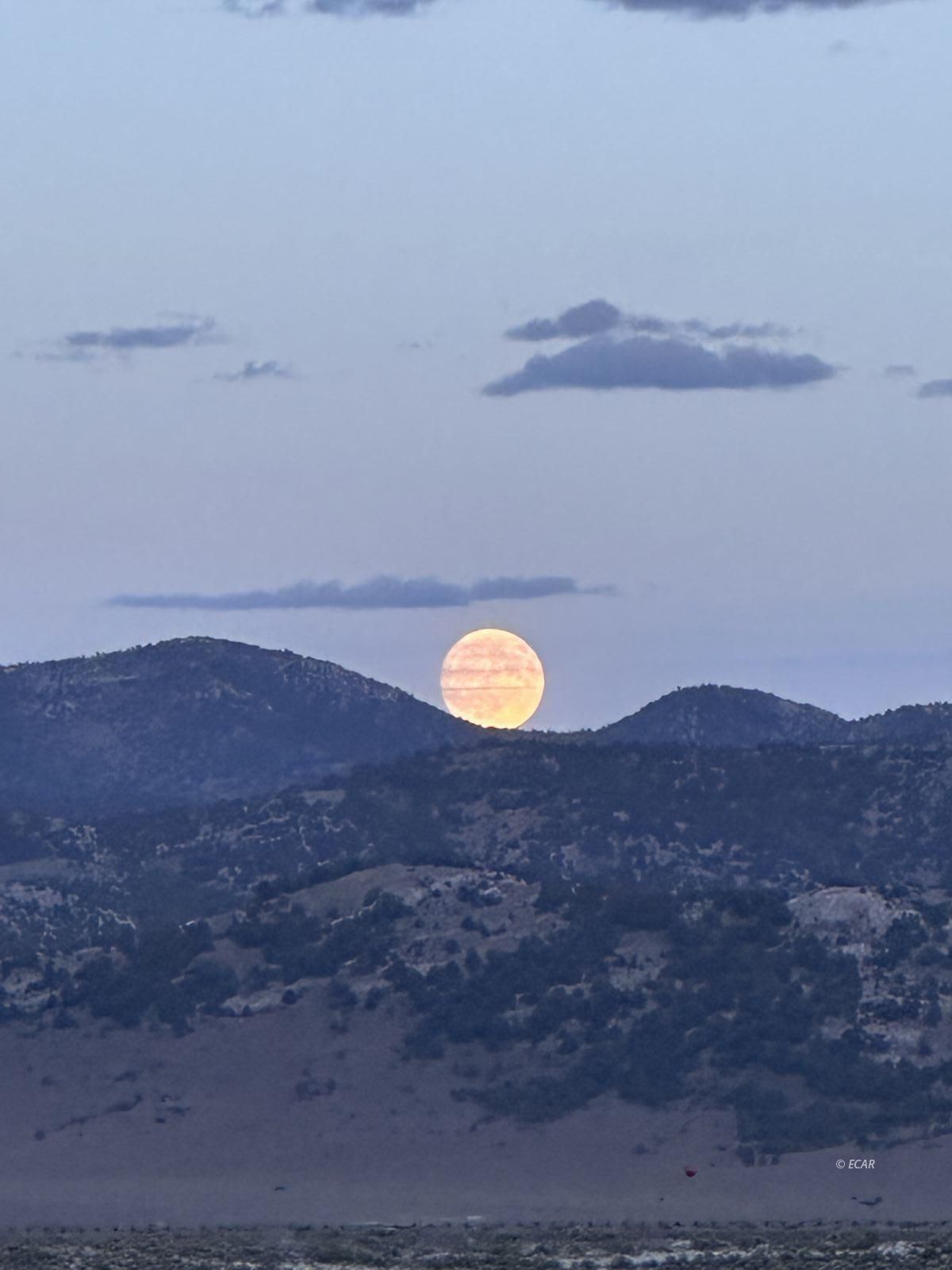 Parcel Property Photo 1