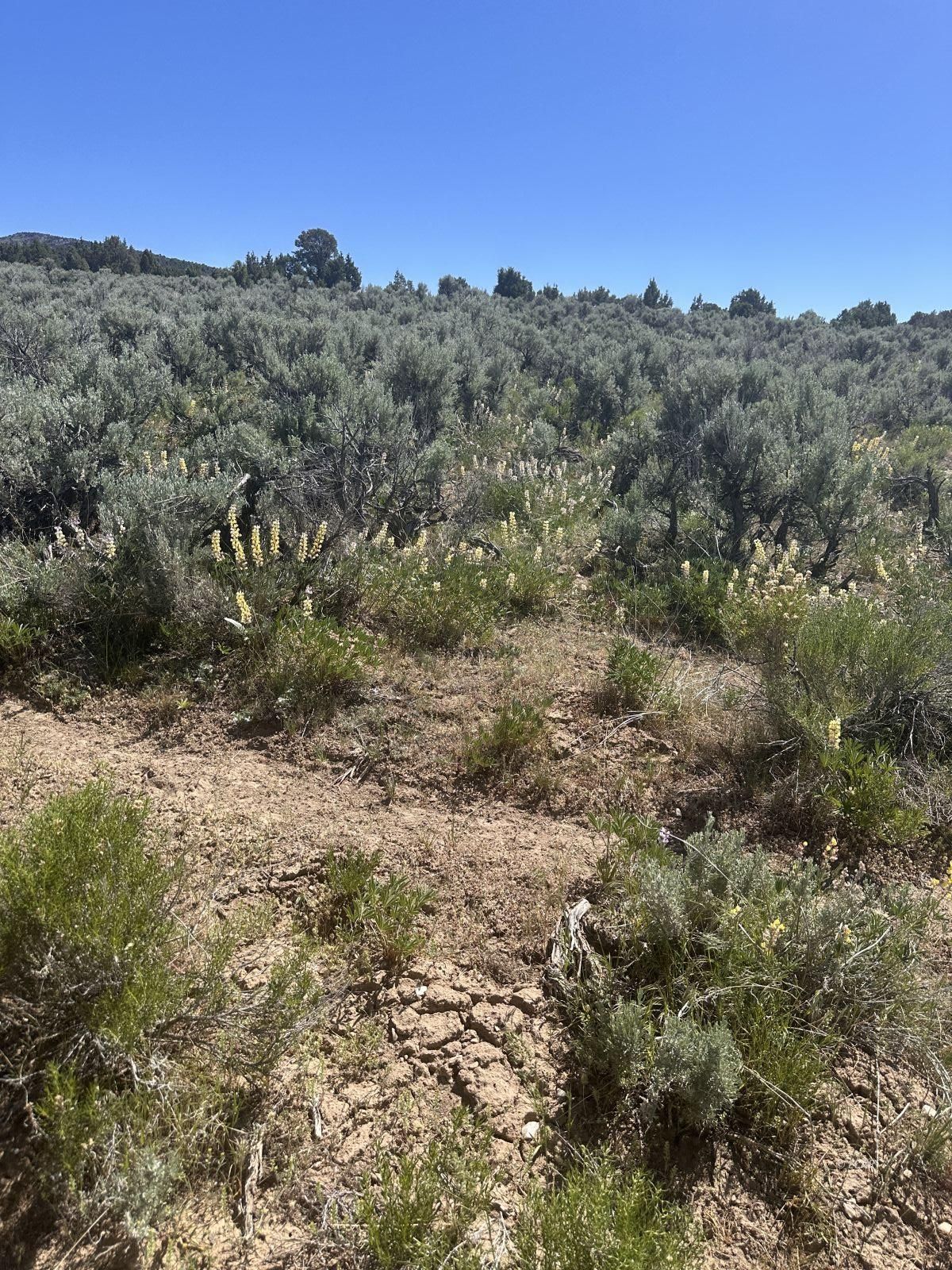 Parcel Property Photo 3