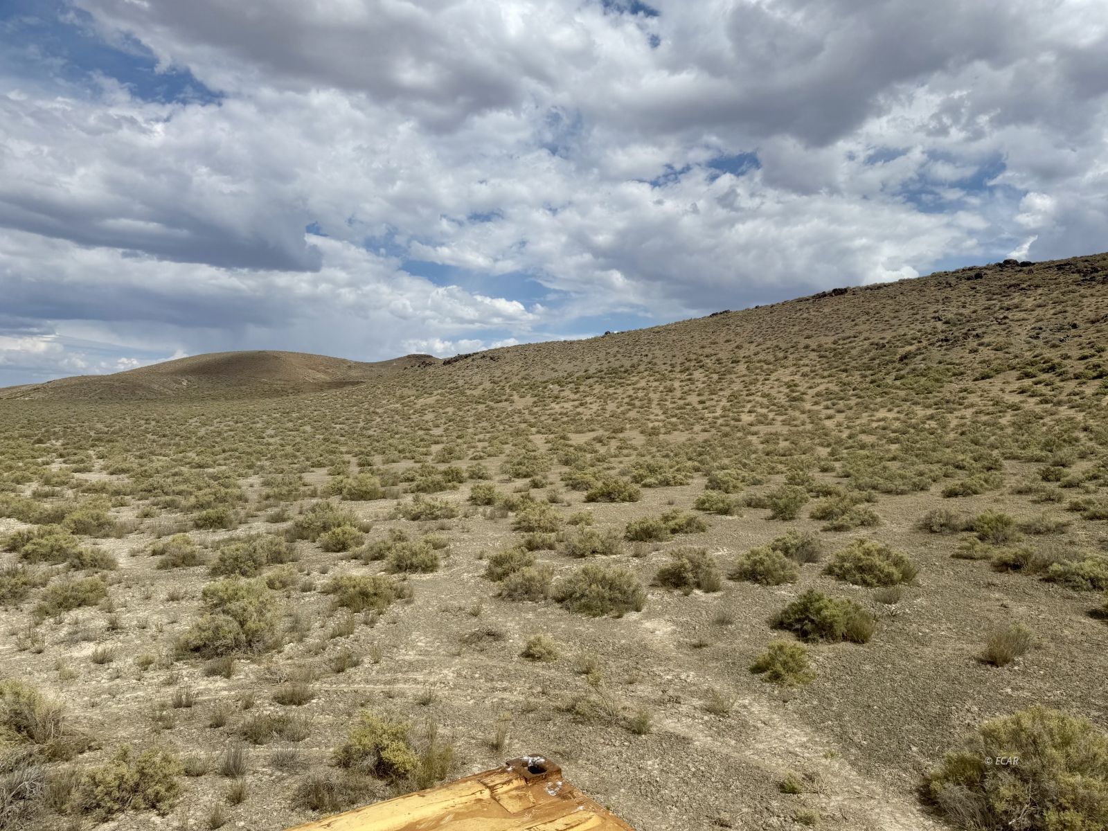 Dean Dan Spa Road Property Photo 15