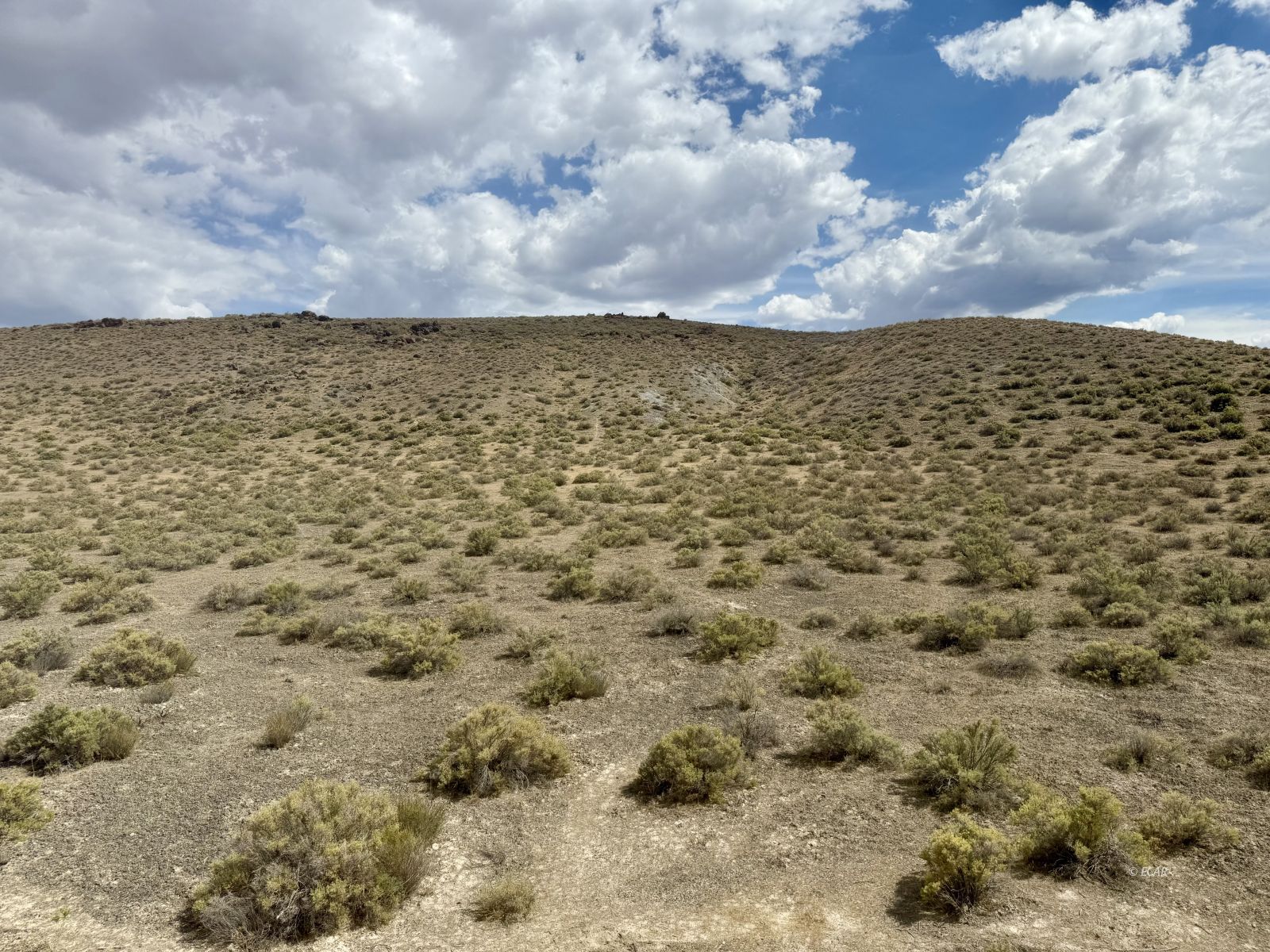 Dean Dan Spa Road Property Photo 16