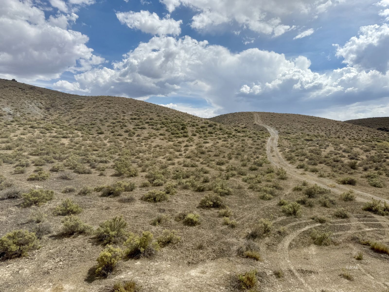 Dean Dan Spa Road Property Photo 17