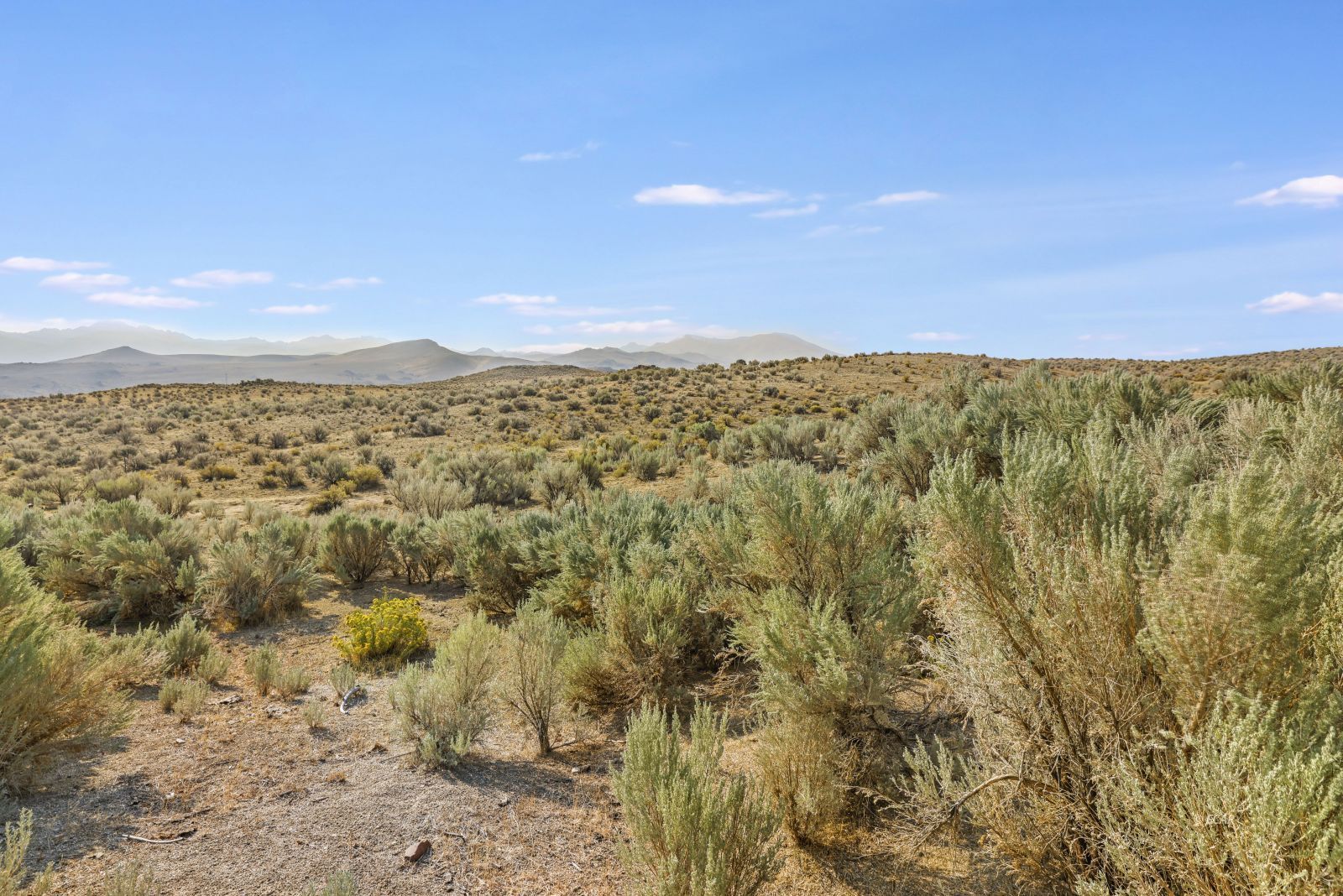 140 Copper Avenue Property Photo 41